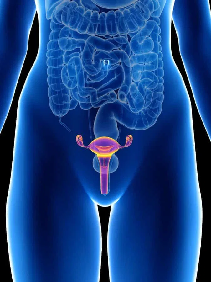 Varicocele Embolization Success Rate: What to Expect from Treatment