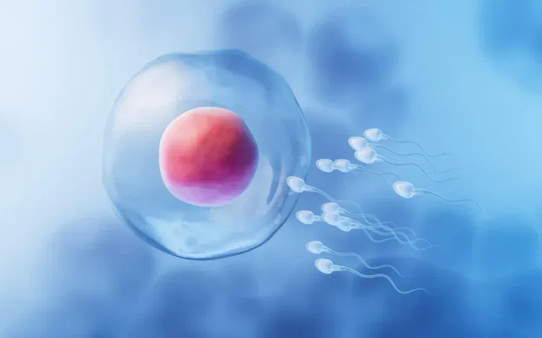 نسبة الحمل بعد عملية الدوالي: هل فعلاً تزداد الفرصة؟ 🤔