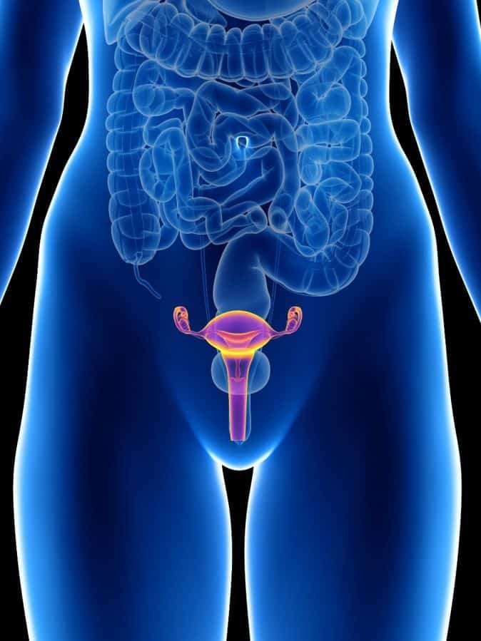Varicocele Embolization Success Rate: What to Expect from Treatment